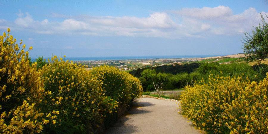 L'Isola Di Rosa - Relais & Hotel Di Charme Cerveteri Kültér fotó