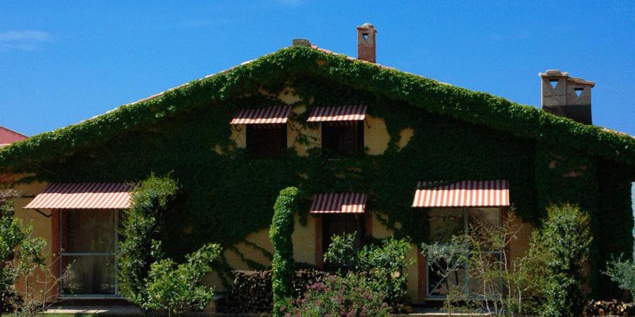 L'Isola Di Rosa - Relais & Hotel Di Charme Cerveteri Kültér fotó